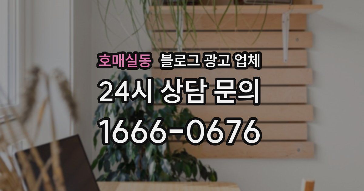 호매실동 블로그 광고 업체