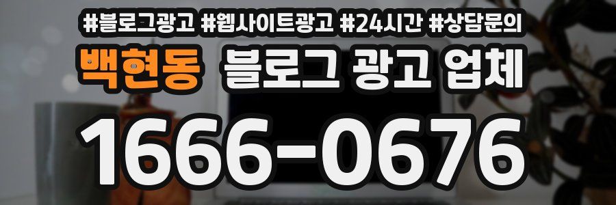 백현동 블로그 광고 업체