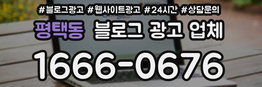 평택동 블로그 광고 업체