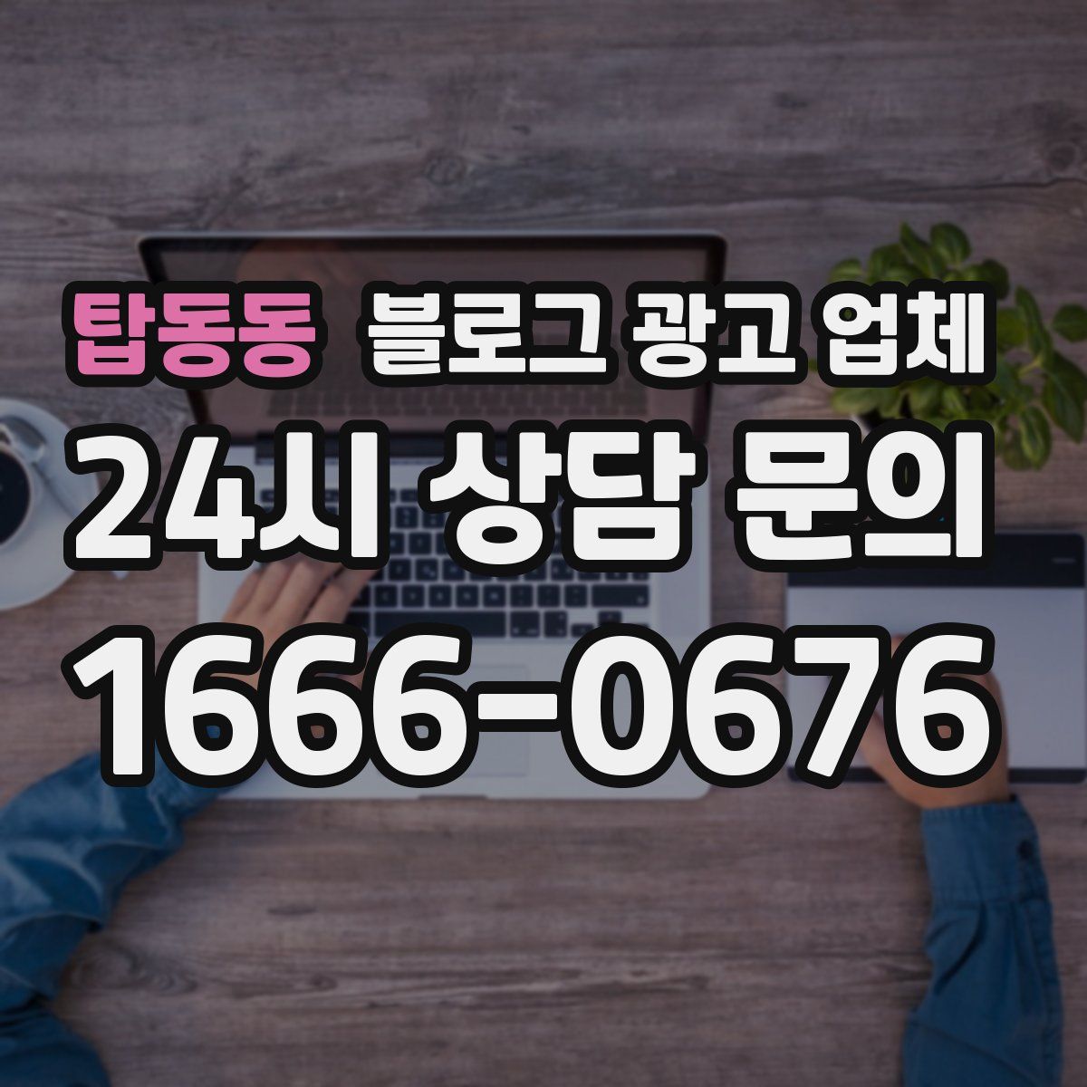 탑동동 블로그 광고 업체