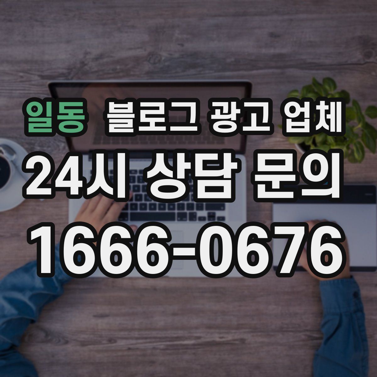 일동 블로그 광고 업체