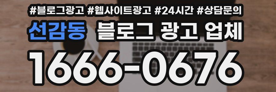 선감동 블로그 광고 업체
