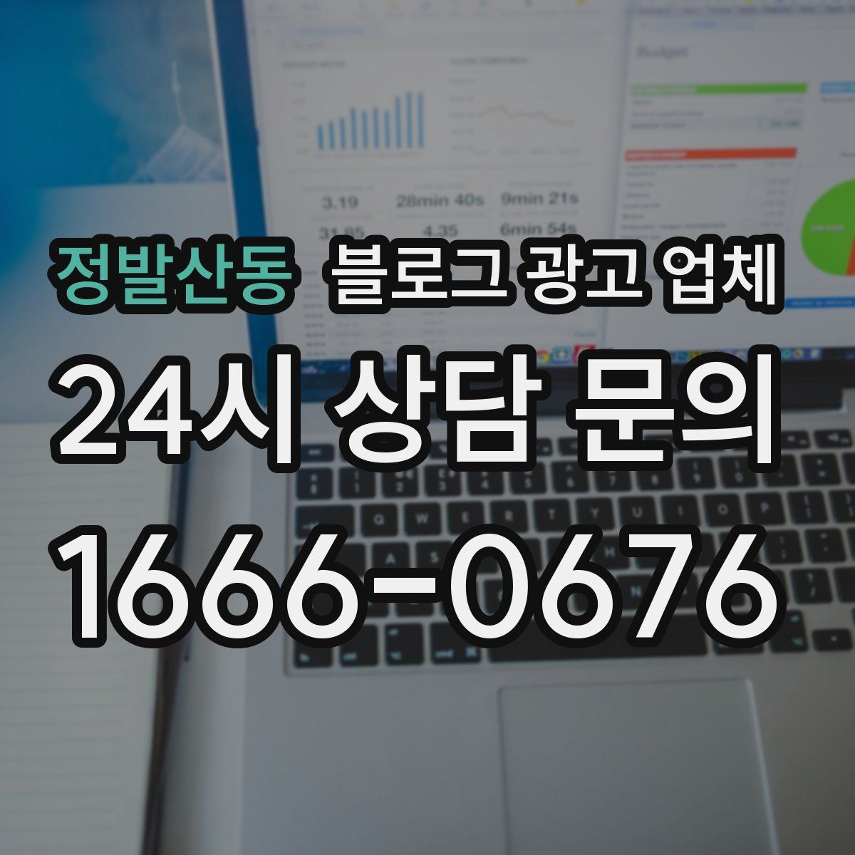 정발산동 블로그 광고 업체