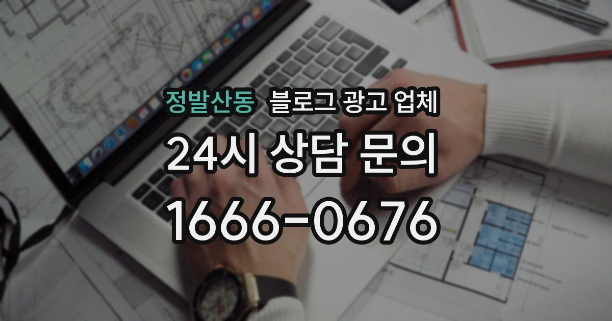 정발산동 블로그 광고 업체