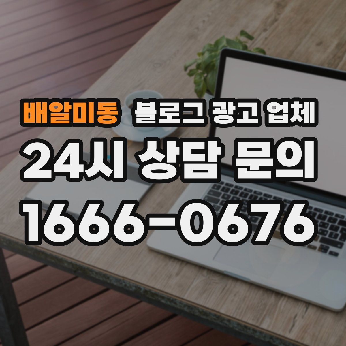 배알미동 블로그 광고 업체