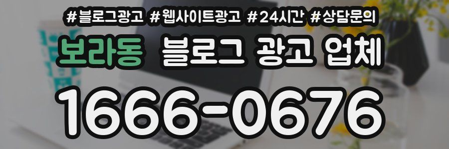 보라동 블로그 광고 업체