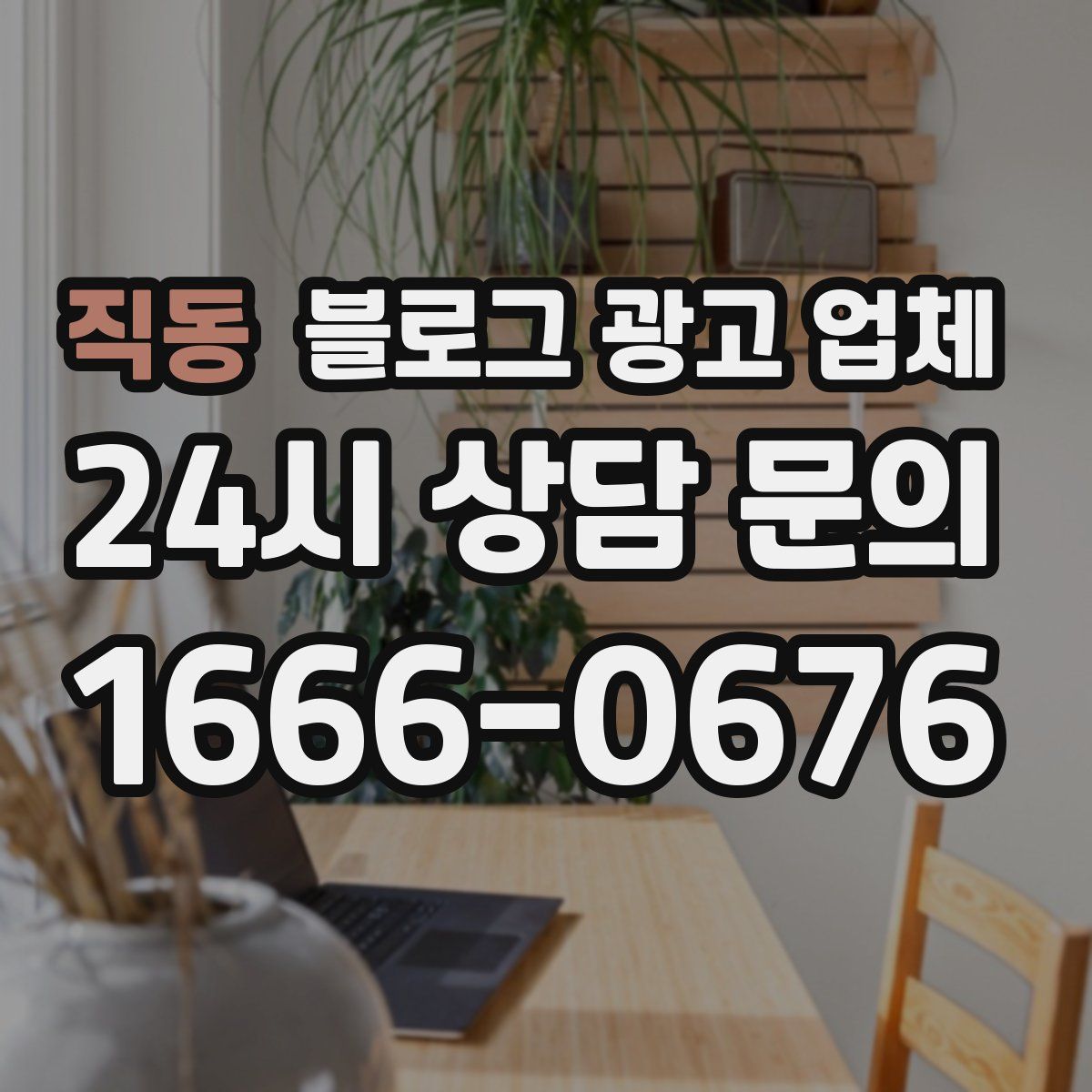 직동 블로그 광고 업체
