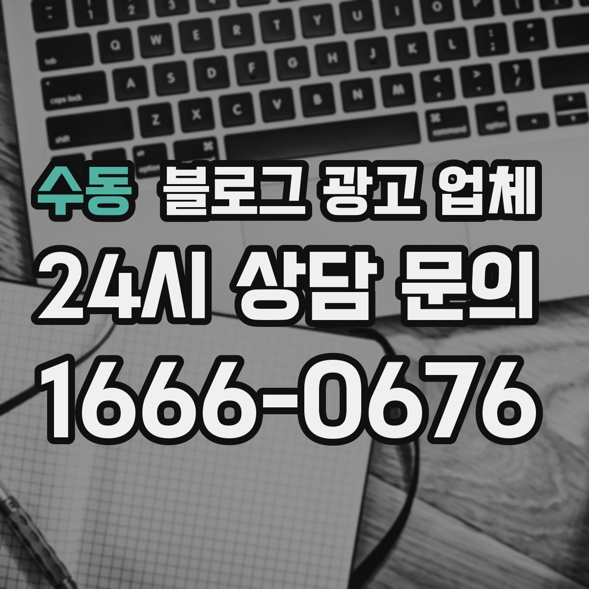 수동 블로그 광고 업체