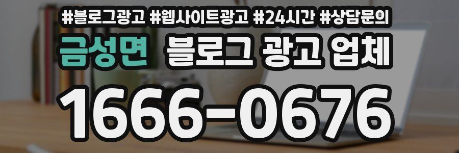 금성면 블로그 광고 업체