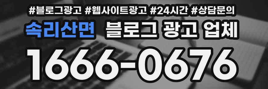 속리산면 블로그 광고 업체
