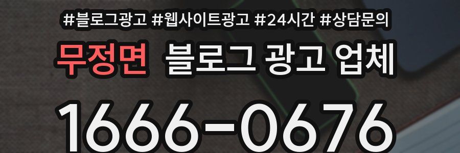 무정면 블로그 광고 업체