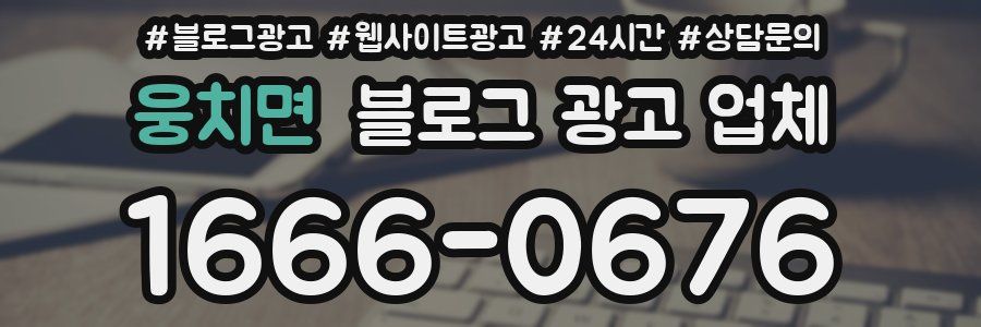 웅치면 블로그 광고 업체