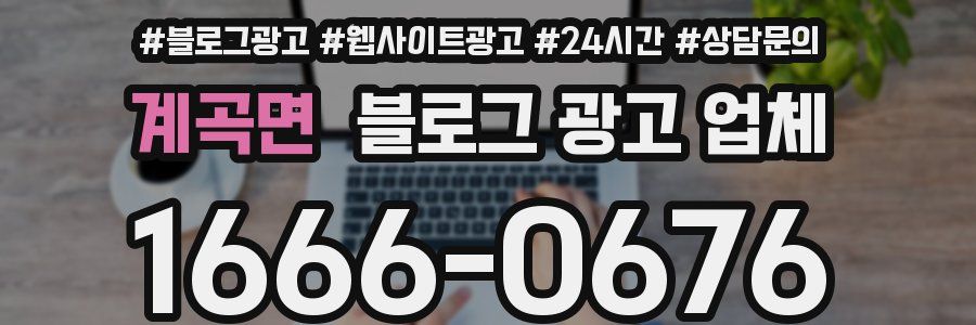 계곡면 블로그 광고 업체
