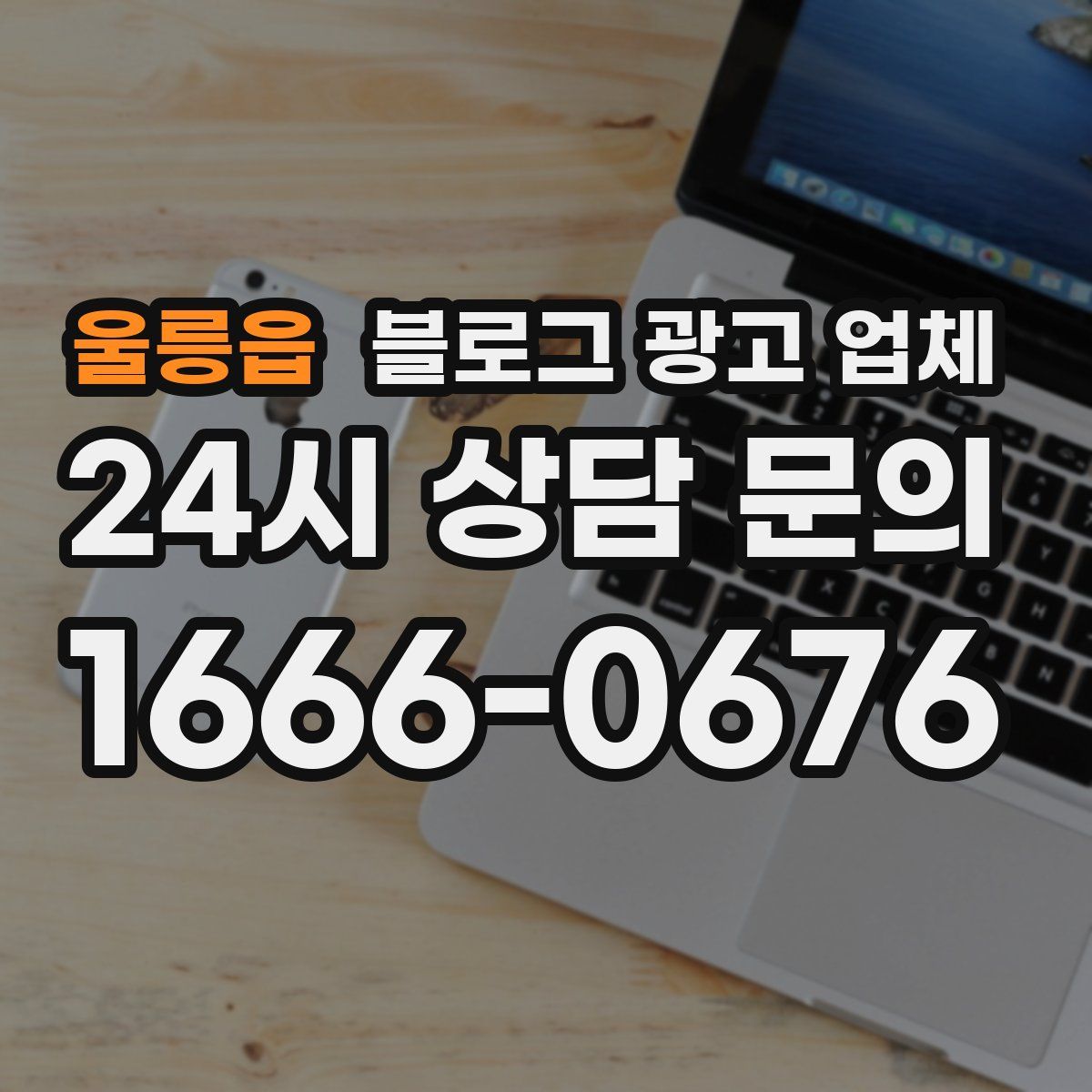 울릉읍 블로그 광고 업체