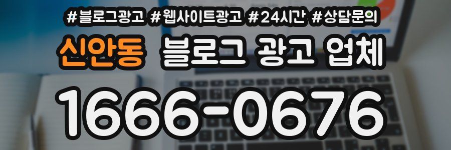 신안동 블로그 광고 업체