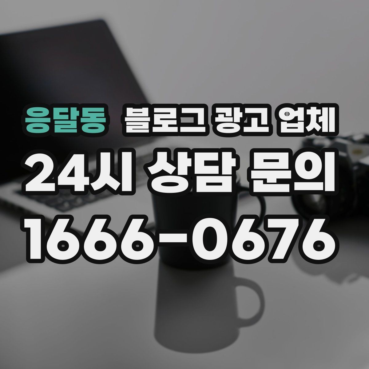 응달동 블로그 광고 업체 성과 확인은 이렇게