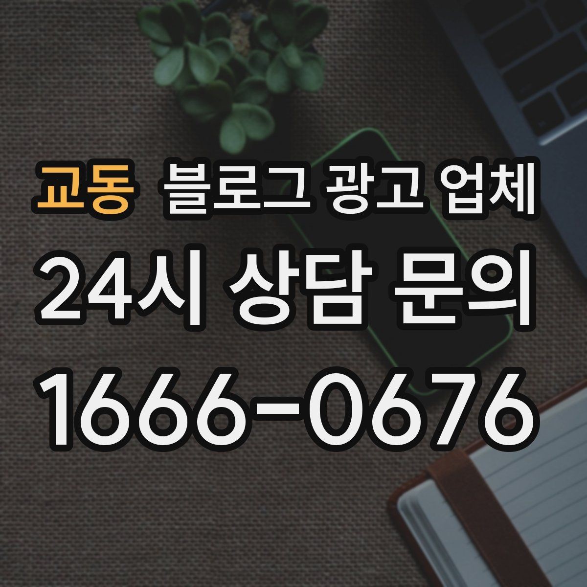 교동 블로그 광고 업체 운영 사례로 보는 선택 포인트