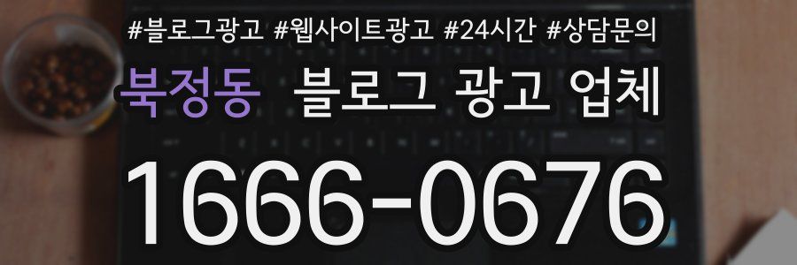 북정동 블로그 광고 업체