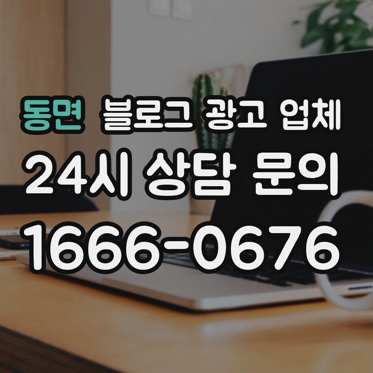 동면 블로그 광고 업체 진행 사례로 보는 선택 포인트