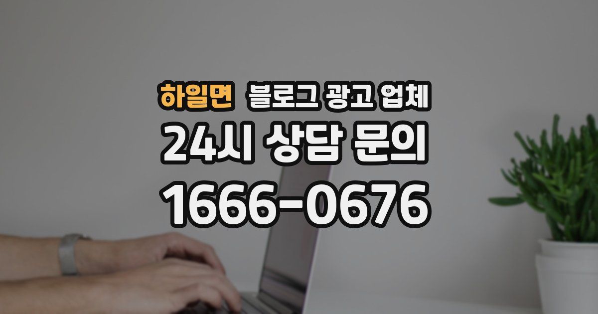 하일면 블로그 광고 업체