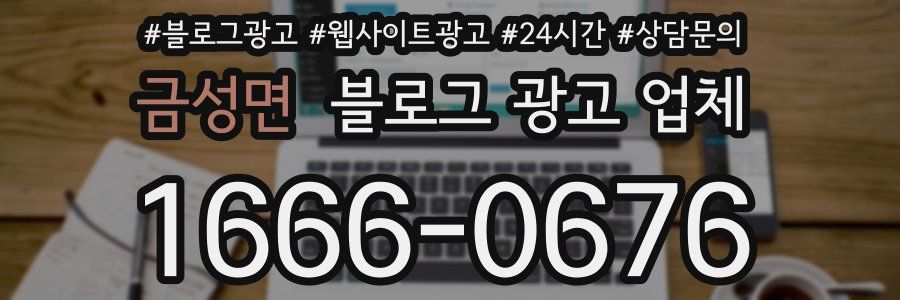 금성면 블로그 광고 업체