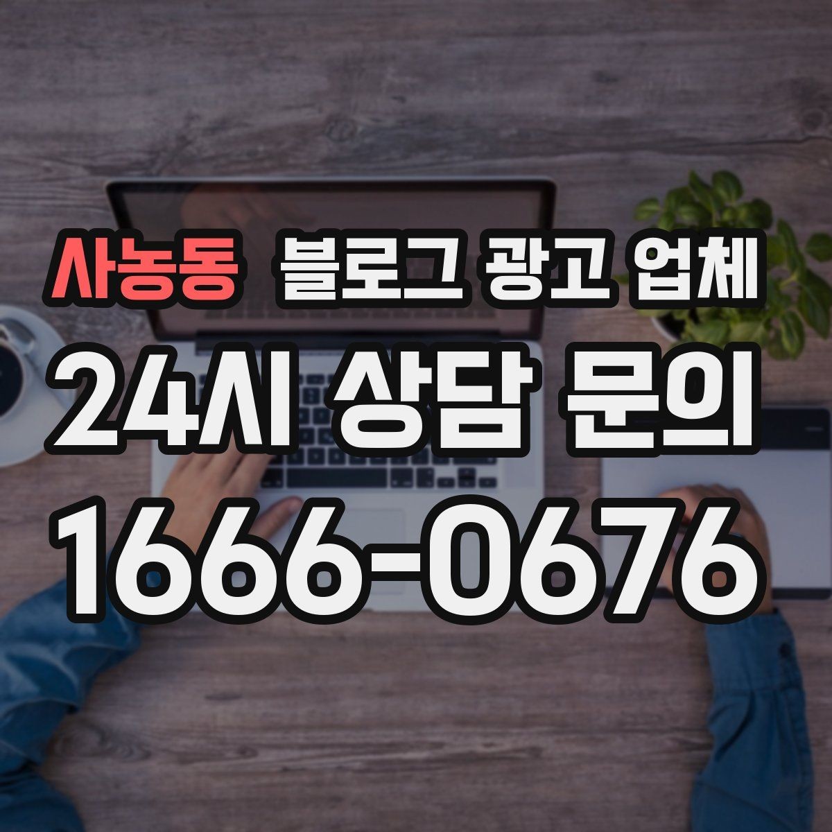 사농동 블로그 광고 업체 선택에 참고할 운영 경험