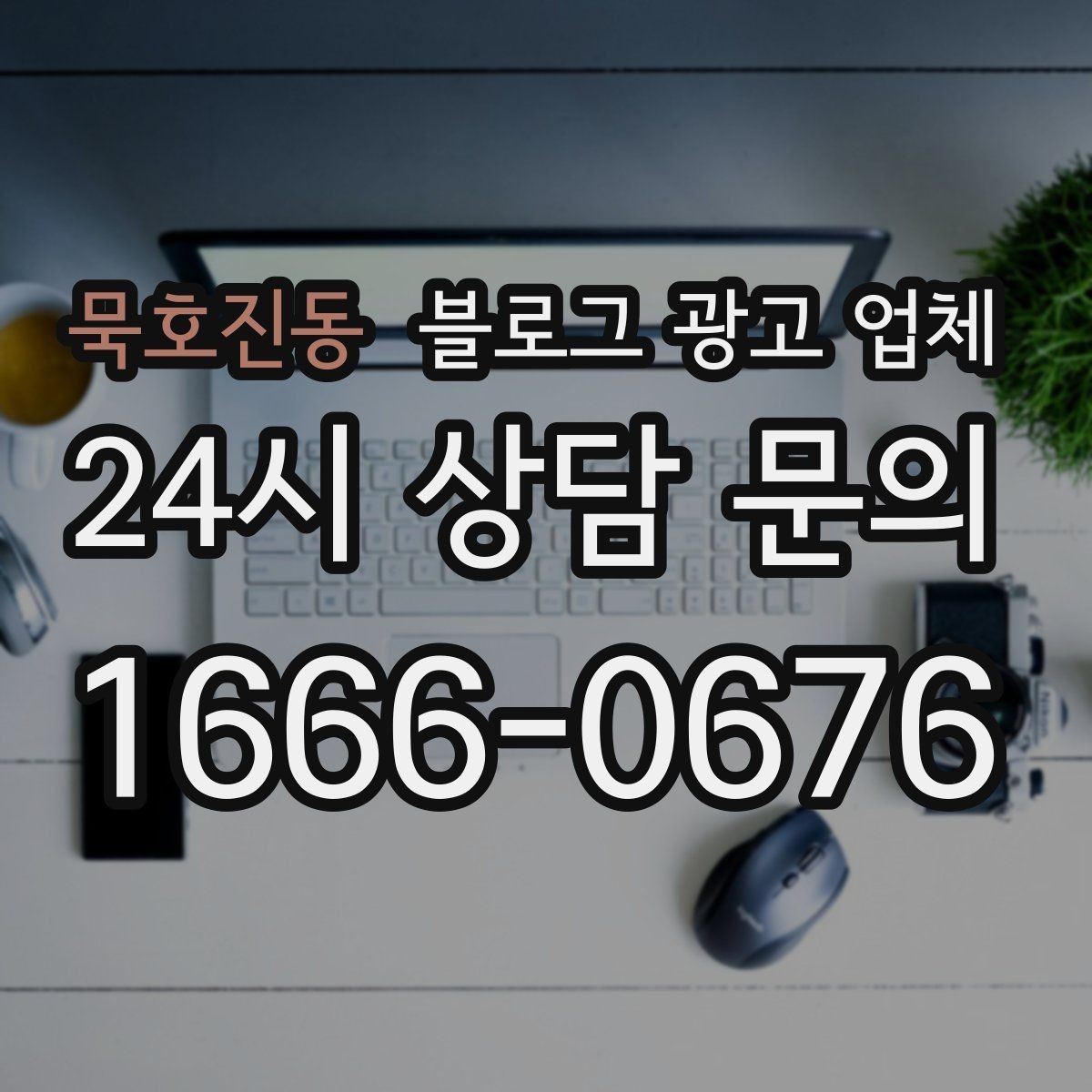 묵호진동 블로그 광고 업체 후기 볼 때 체크할 항목