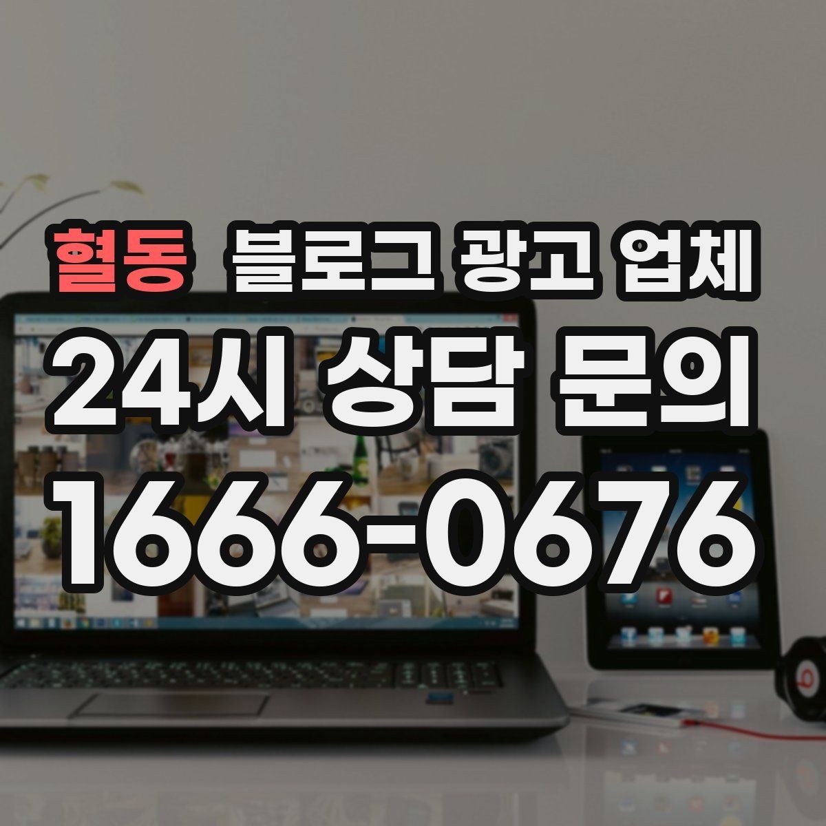 혈동 블로그 광고 업체 비교 시 서비스 외에 볼 부분