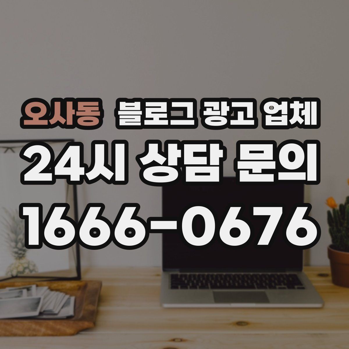 오사동 블로그 광고 업체 포트폴리오에서 확인할 내용