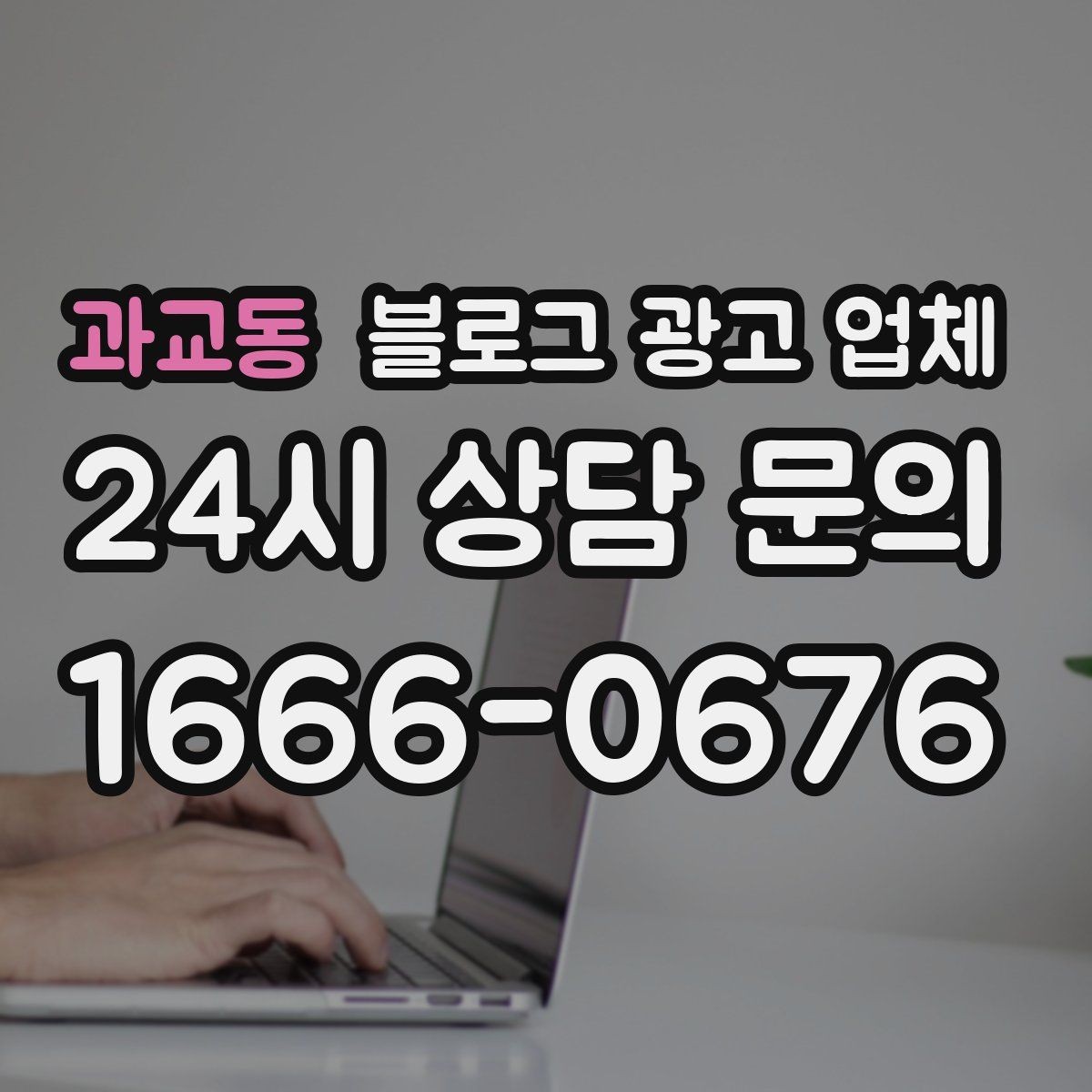 과교동 블로그 광고 업체 운영 경험이 중요한 이유
