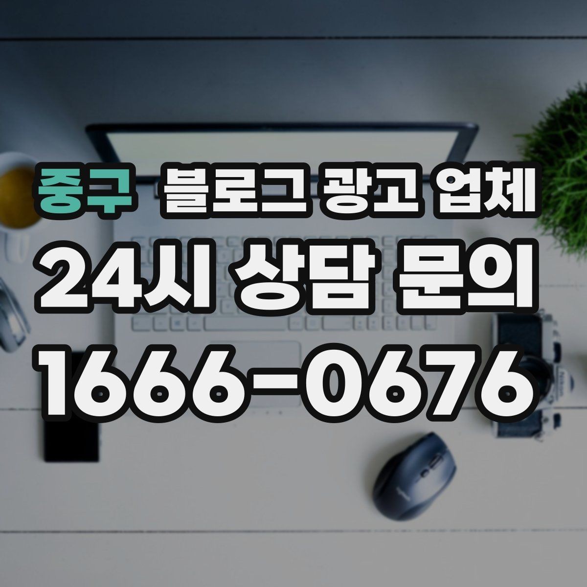 중구 블로그 광고 업체 비교 시 포트폴리오 보는 법