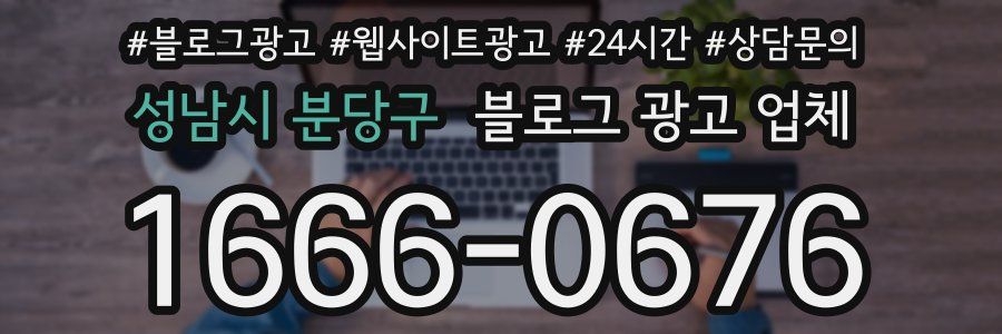 성남시 분당구 블로그 광고 업체