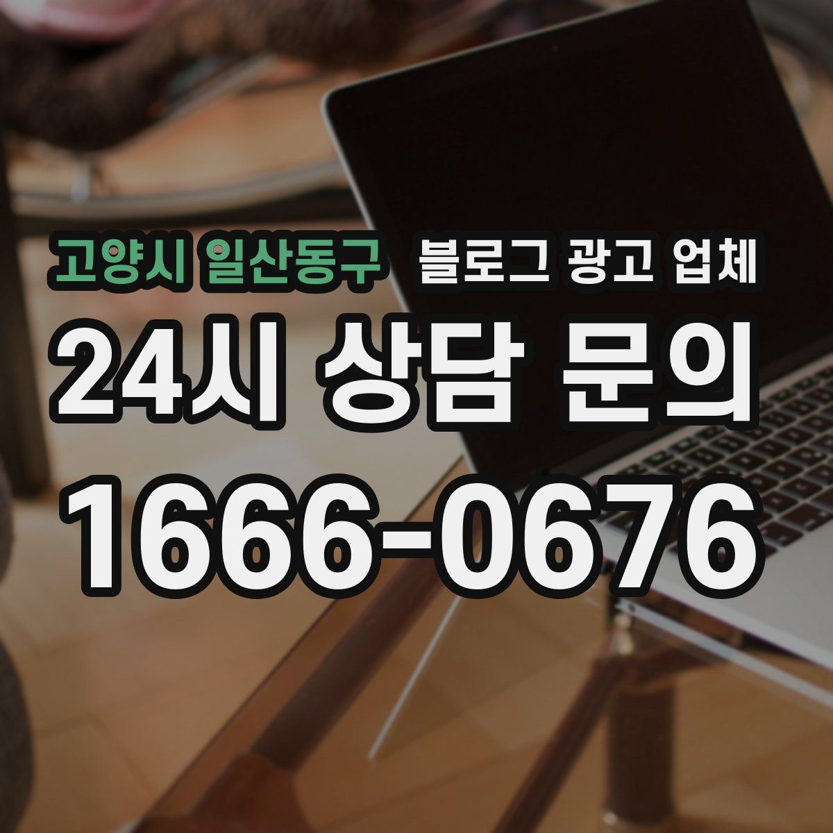 고양시 일산동구 블로그 광고 업체