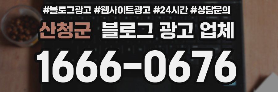 산청군 블로그 광고 업체
