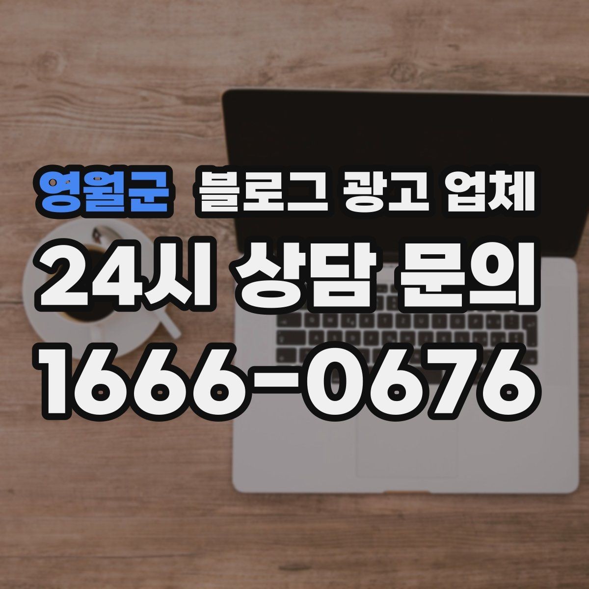 영월군 블로그 광고 업체 비교 시 포트폴리오 보는 법