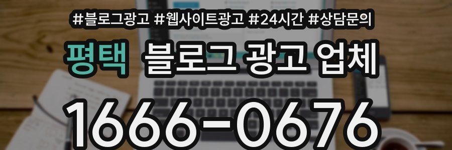 평택 블로그 광고 업체