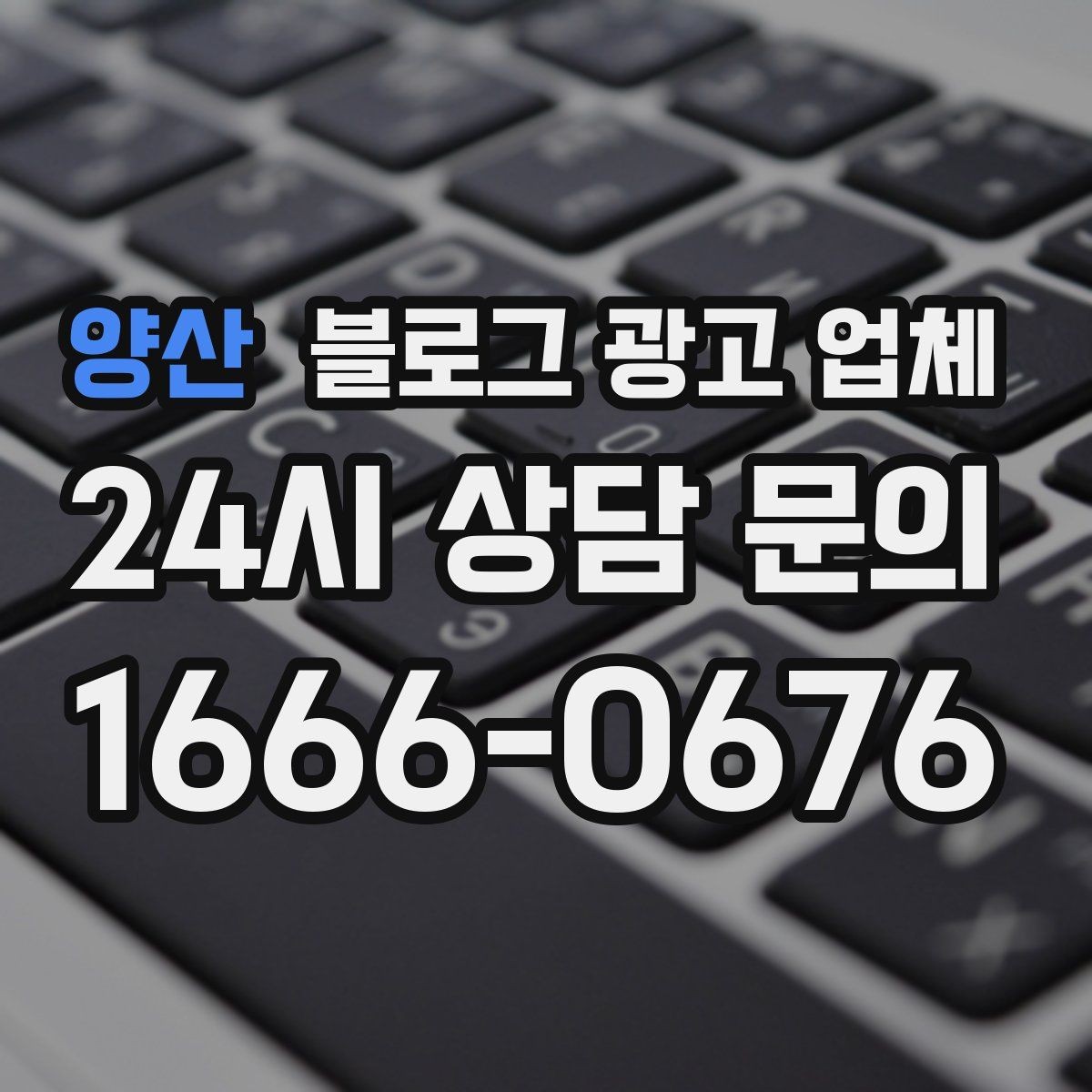 양산 블로그 광고 업체 사례로 보는 업종별 접근법