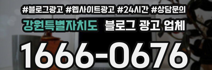 강원특별자치도 블로그 광고 업체
