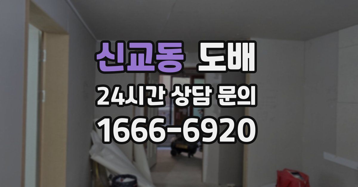 신교동 도배