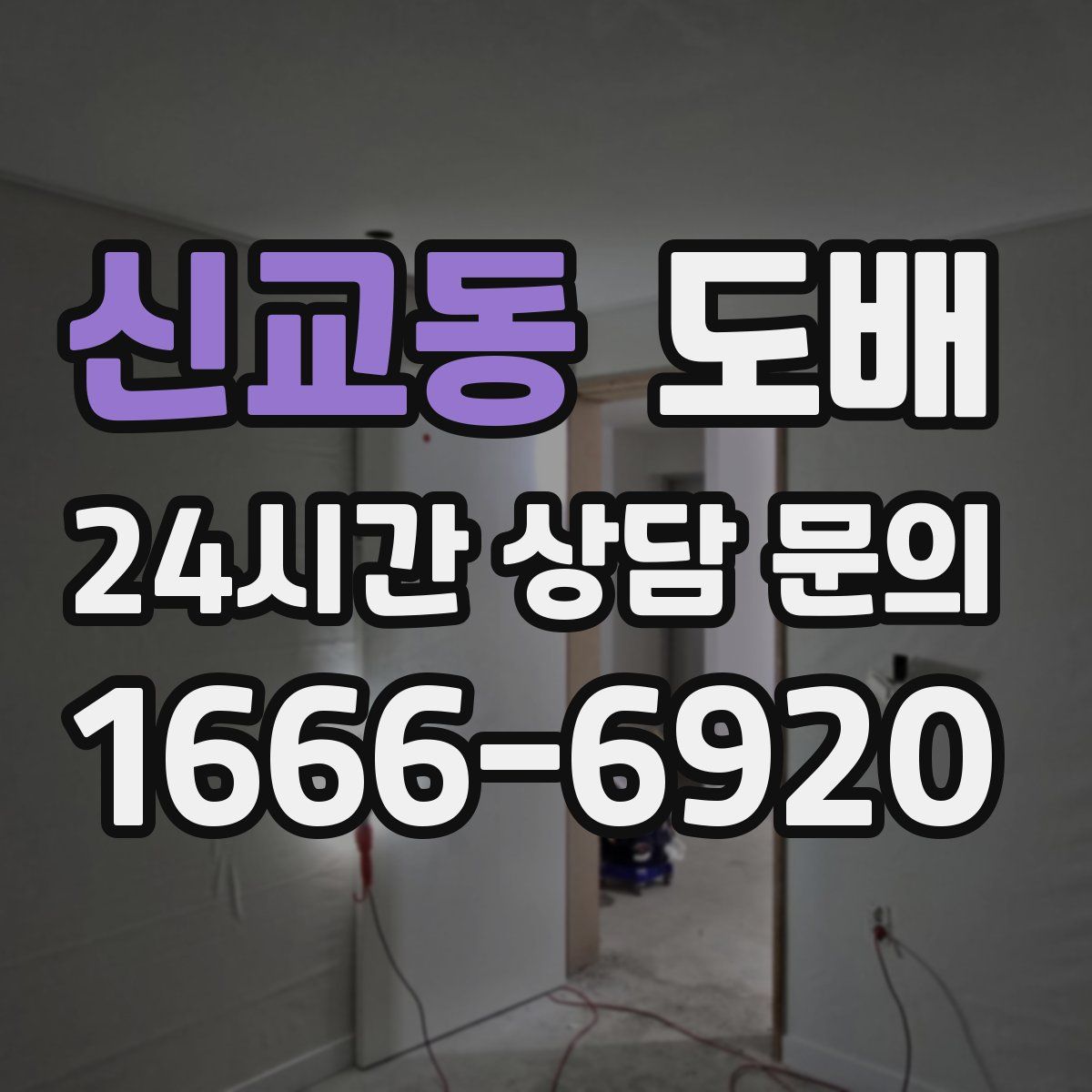 신교동 도배