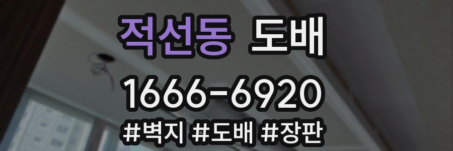 적선동 도배