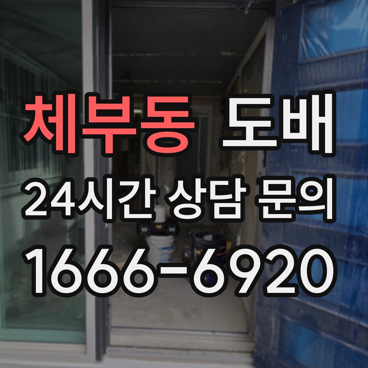 체부동 도배