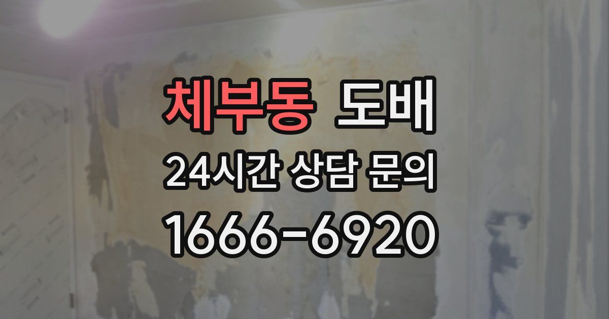 체부동 도배