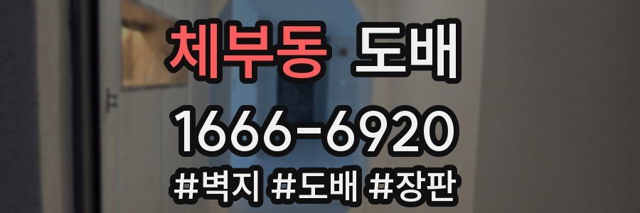 체부동 도배