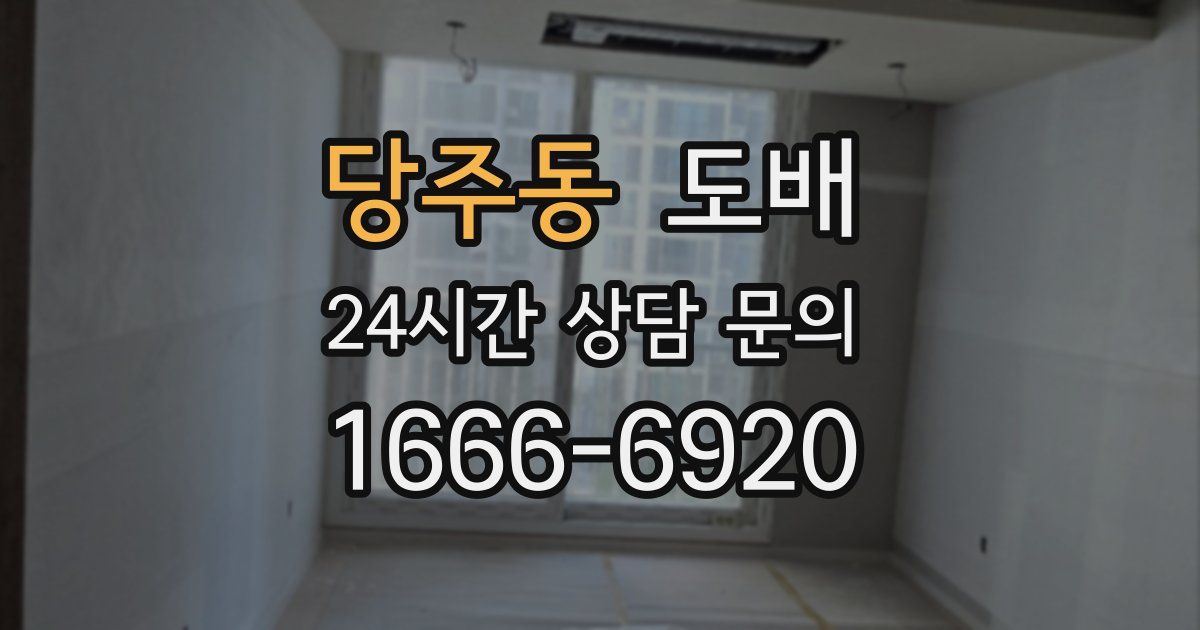 당주동 도배