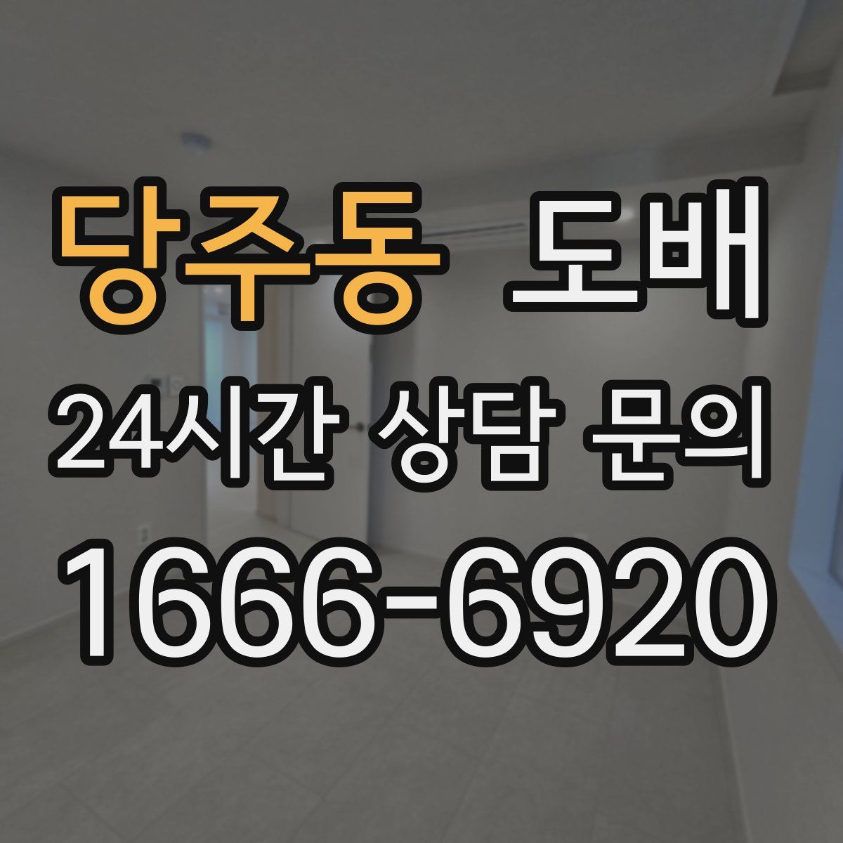 당주동 도배