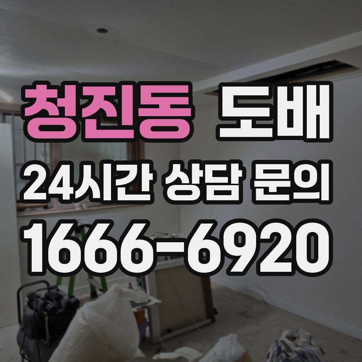 청진동 도배