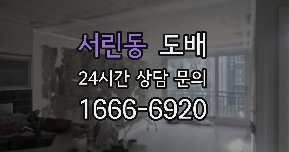 서린동 도배