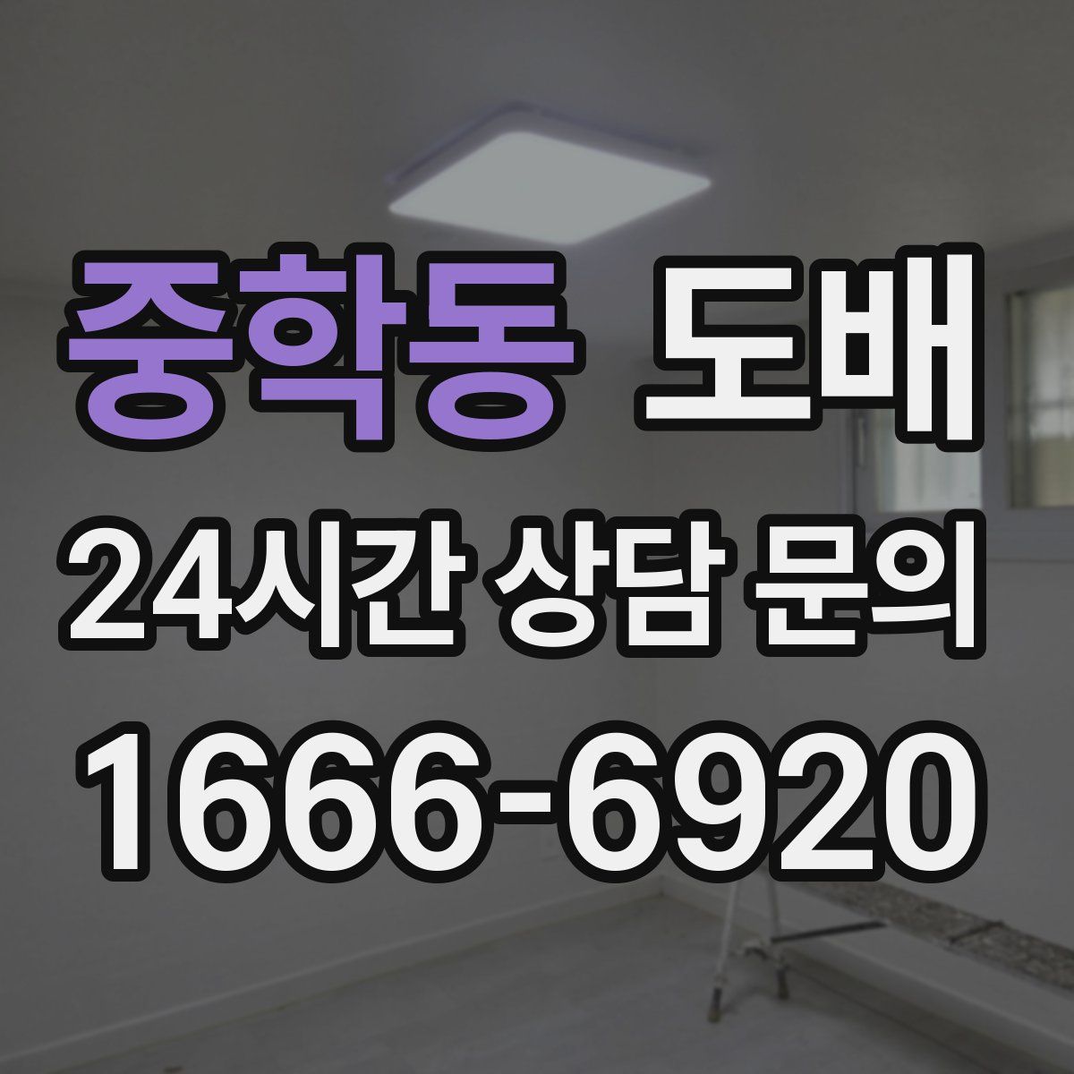 중학동 도배