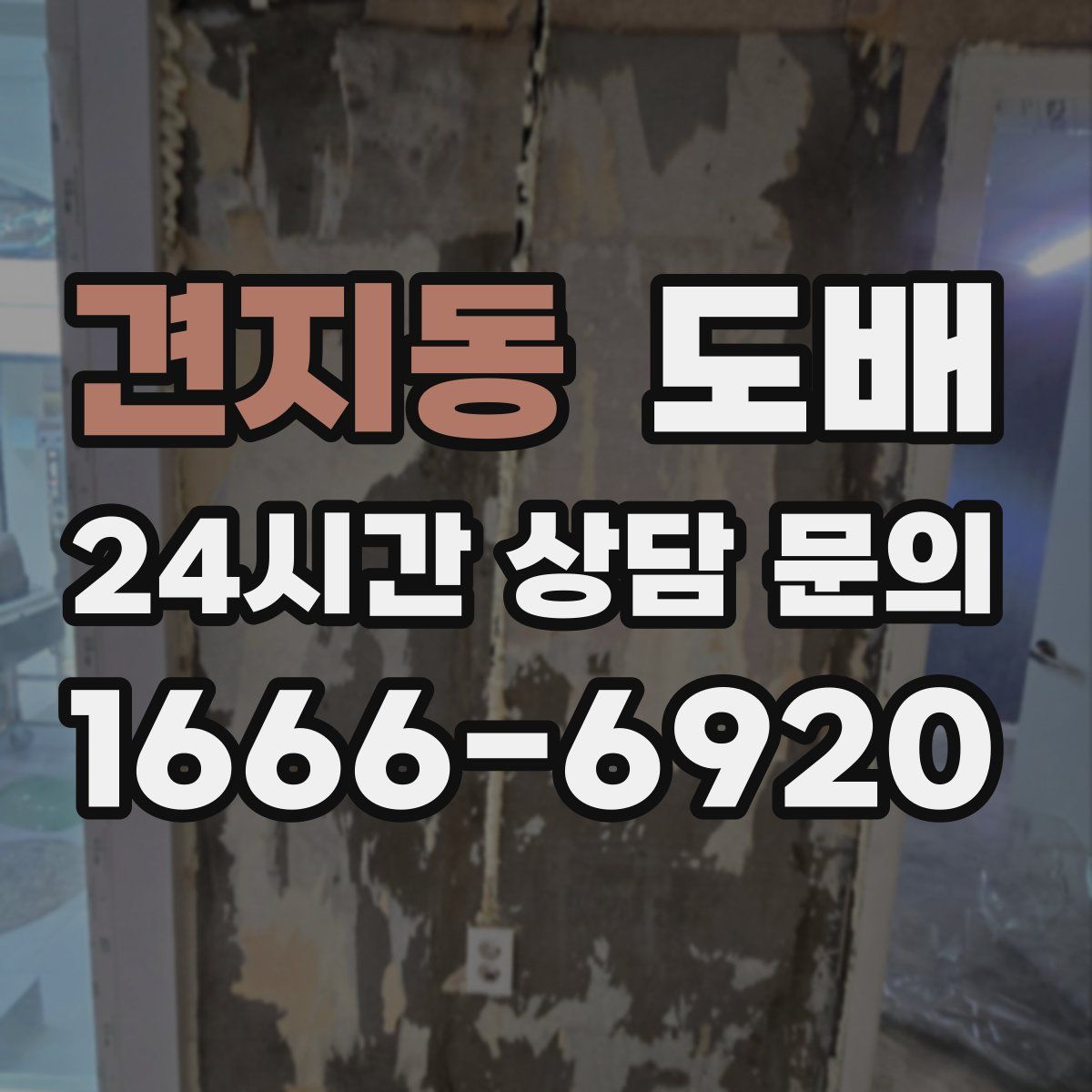 견지동 도배